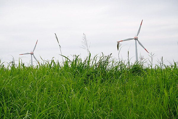 포토 JPG 주간 식물 하늘 풍경 사람없음 야외 일본 풀 풍력기 이에섬 국내포토 자연요소 아시아 섬 풍력에너지 오키나와 파일형식