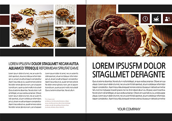 템플릿 편집 표지디자인 북디자인 출판디자인 표지 리플렛 북커버 건강 팜플렛 사람없음 한의학 한약재 인삼 한약 보약 약봉지 영지버섯 이미지템플릿 AI파일 의학 약 버섯 약재 삼 파일형식 벡터