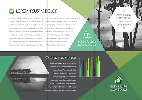 나무 템플릿 편집 표지디자인 북디자인 출판디자인 내지 호수 리플렛 북커버 3단접지 흑백 팜플렛 사람없음 초록색 강 반사 삼각형 이미지템플릿 AI파일 도형 식물 컬러 촬영기법 파일형식 벡터