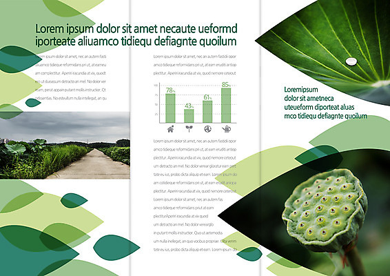 템플릿 편집 표지디자인 북디자인 출판디자인 내지 길 리플렛 북커버 3단접지 나뭇잎 연꽃 씨앗 팜플렛 사람없음 초록색 물방울 이슬 연잎 이미지템플릿 AI파일 식물 꽃 컬러 잎 파일형식 벡터
