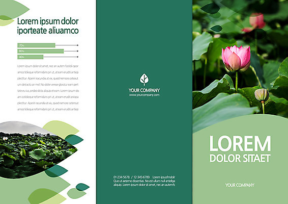 템플릿 편집 표지디자인 북디자인 출판디자인 표지 호수 리플렛 북커버 3단접지 나뭇잎 연꽃 팜플렛 사람없음 초록색 연못 연잎 이미지템플릿 AI파일 꽃 컬러 잎 파일형식 벡터