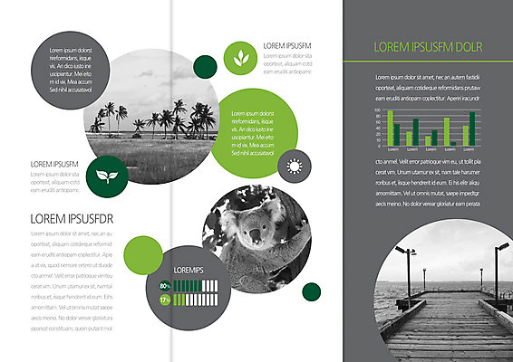 템플릿 편집 한마리 표지디자인 북디자인 출판디자인 내지 리플렛 바다 북커버 3단접지 흑백 팜플렛 해변 사람없음 초록색 야자수 회색 원형 코알라 나무다리 이미지템플릿 AI파일 도형 나무 1 컬러 포유류 촬영기법 다리_건축물 파일형식 벡터