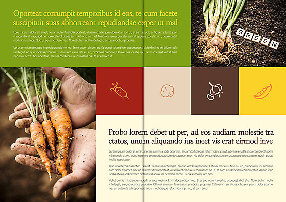 템플릿 편집 표지디자인 북디자인 손 출판디자인 내지 리플렛 북커버 콩 감자 마늘 한명 들기 팜플렛 신체부위 흙 당근 양손 유기농 파 이미지템플릿 AI파일 1 웰빙 채소 모션 곡류 뿌리채소 사람 파일형식 벡터