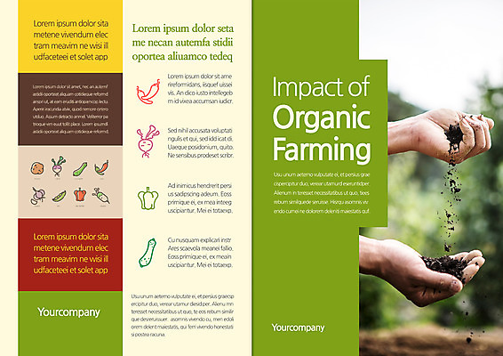 템플릿 편집 표지디자인 북디자인 손 출판디자인 표지 리플렛 채소 북커버 고추 피망 오이 한명 들기 팜플렛 신체부위 흙 양손 유기농 적환무 이미지템플릿 AI파일 1 웰빙 모션 사람 무 파일형식 벡터