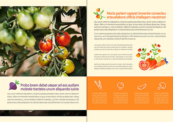템플릿 편집 표지디자인 북디자인 출판디자인 내지 리플렛 토마토 북커버 방울토마토 팜플렛 사람없음 당근 유기농 이미지템플릿 AI파일 웰빙 채소 뿌리채소 파일형식 벡터
