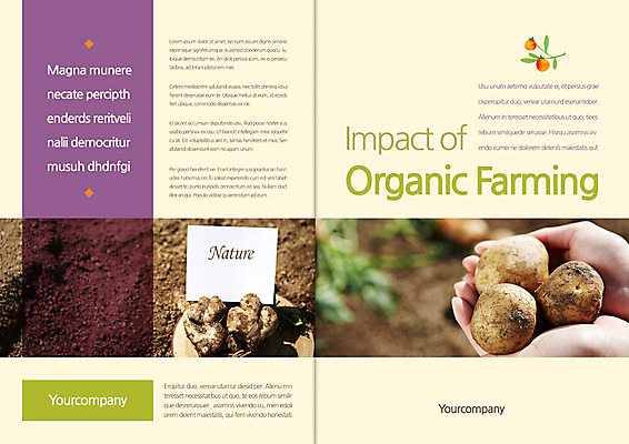 템플릿 편집 표지디자인 북디자인 손 출판디자인 표지 리플렛 북커버 감자 한명 들기 팜플렛 신체부위 양손 유기농 생강 이미지템플릿 AI파일 카드프레임 1 웰빙 채소 모션 프레임 사람 파일형식 벡터