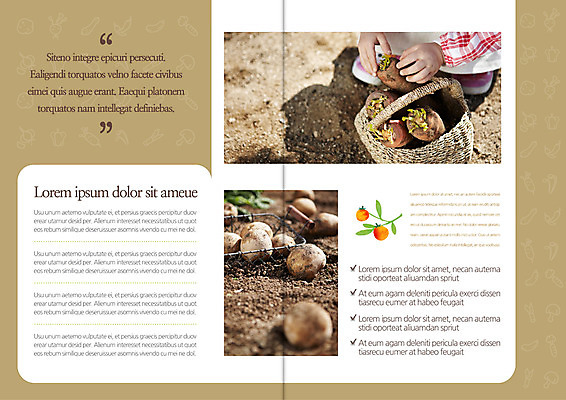 템플릿 편집 표지디자인 북디자인 손 출판디자인 여자 내지 어린이 리플렛 북커버 감자 한명 팜플렛 신체부위 바구니 흙 당근 한국인 유기농 이미지템플릿 AI파일 1 웰빙 채소 뿌리채소 사람 동양인 파일형식 벡터