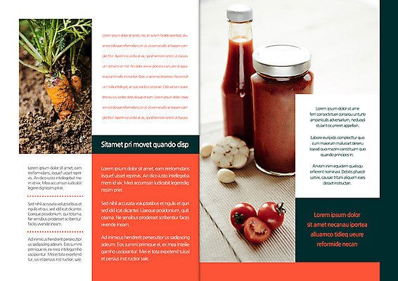 템플릿 편집 표지디자인 북디자인 출판디자인 내지 리플렛 토마토 북커버 마늘 팜플렛 사람없음 흙 당근 유기농 토마토소스 이미지템플릿 AI파일 웰빙 채소 뿌리채소 소스_음식 파일형식 벡터