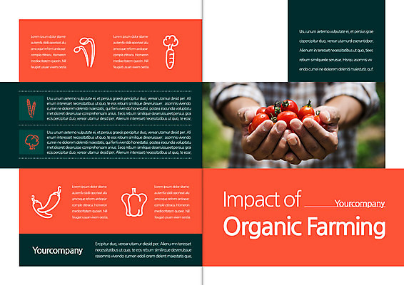 템플릿 편집 표지디자인 북디자인 손 출판디자인 표지 리플렛 북커버 방울토마토 한명 들기 팜플렛 성인 신체부위 양손 유기농 이미지템플릿 AI파일 1 웰빙 토마토 모션 사람 파일형식 벡터