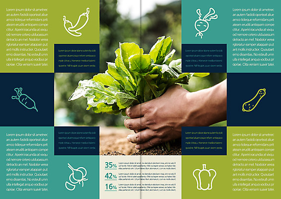 템플릿 편집 표지디자인 북디자인 손 출판디자인 내지 리플렛 북커버 고추 피망 오이 한손 마늘 한명 팜플렛 신체부위 잡기 상추 무 유기농 뽑기 적환무 이미지템플릿 AI파일 1 웰빙 채소 모션 뿌리채소 사람 파일형식 벡터