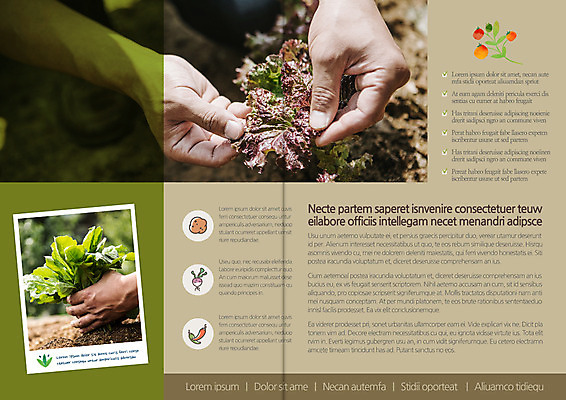 템플릿 편집 표지디자인 북디자인 손 출판디자인 내지 리플렛 북커버 한손 들기 팜플렛 두명 신체부위 양손 잡기 상추 유기농 뽑기 이미지템플릿 AI파일 웰빙 채소 모션 사람 파일형식 벡터