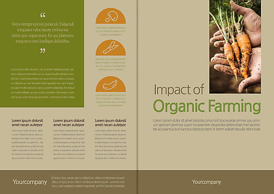 템플릿 편집 표지디자인 북디자인 손 출판디자인 표지 리플렛 북커버 한명 들기 팜플렛 신체부위 당근 양손 유기농 이미지템플릿 AI파일 1 웰빙 모션 뿌리채소 사람 파일형식 벡터