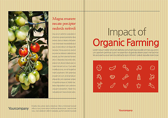 템플릿 편집 표지디자인 북디자인 출판디자인 표지 리플렛 북커버 방울토마토 팜플렛 사람없음 줄무늬 유기농 이미지템플릿 AI파일 웰빙 무늬 토마토 파일형식 벡터