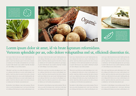 템플릿 편집 표지디자인 북디자인 영어 출판디자인 내지 리플렛 북커버 콩 감자 팜플렛 사람없음 바구니 당근 유기농 두부 청경채 이미지템플릿 AI파일 카드프레임 문자 웰빙 채소 곡류 뿌리채소 프레임 파일형식 벡터