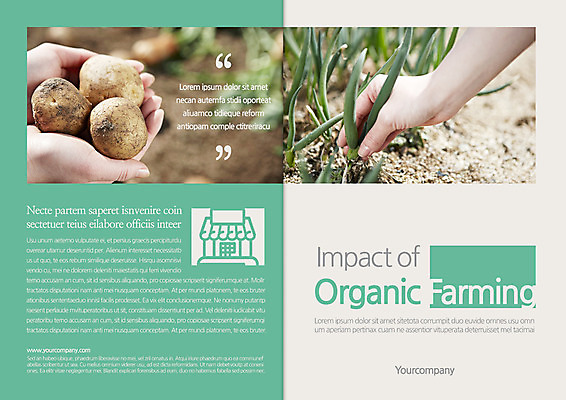 템플릿 편집 표지디자인 북디자인 손 출판디자인 표지 리플렛 북커버 감자 한손 들기 팜플렛 두명 신체부위 양손 유기농 파 민트색 뽑기 이미지템플릿 AI파일 웰빙 컬러 채소 모션 사람 파일형식 벡터