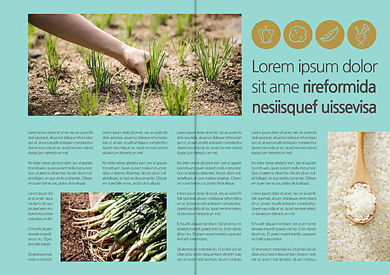 템플릿 편집 표지디자인 북디자인 손 출판디자인 내지 리플렛 하늘색 북커버 한손 한명 팜플렛 신체부위 쌀 잡기 풀 유기농 시금치 나무숟가락 모내기 뽑기 이미지템플릿 AI파일 식물 1 웰빙 농업 채소 모션 곡류 사람 파란색 숟가락 파일형식 벡터