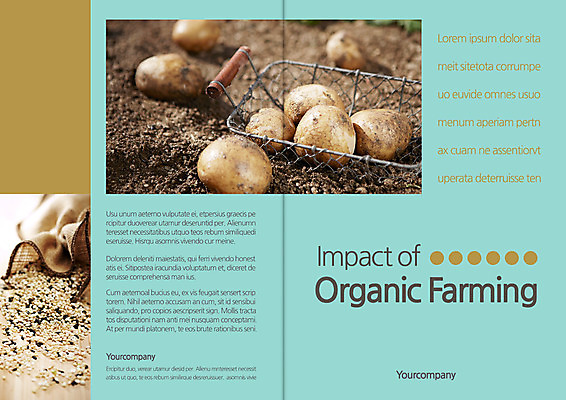 템플릿 편집 표지디자인 북디자인 출판디자인 표지 리플렛 하늘색 북커버 곡류 감자 팜플렛 사람없음 바구니 흙 쌀 유기농 잡곡 이미지템플릿 AI파일 웰빙 채소 파란색 파일형식 벡터