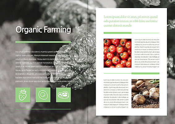 템플릿 편집 표지디자인 북디자인 출판디자인 내지 리플렛 북커버 방울토마토 감자 흑백 팜플렛 사람없음 바구니 상추 유기농 이미지템플릿 AI파일 웰빙 토마토 채소 촬영기법 파일형식 벡터