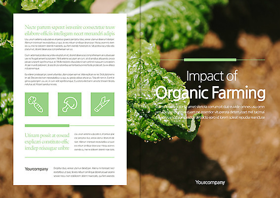템플릿 편집 표지디자인 북디자인 출판디자인 표지 리플렛 북커버 팜플렛 사람없음 상추 유기농 이미지템플릿 AI파일 웰빙 채소 파일형식 벡터