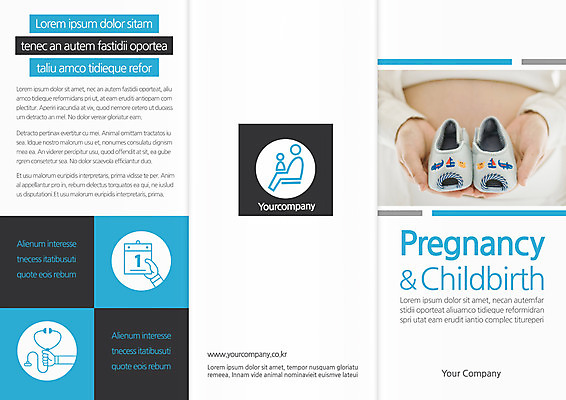 템플릿 편집 표지디자인 북디자인 손 출판디자인 여자 표지 리플렛 북커버 3단접지 한명 들기 팜플렛 상반신 성인 앞모습 30대 임산부 임신 한국인 아기신발 복부 이미지템플릿 AI파일 1 뷰포인트 신발 모션 사람 동양인 신체부위 장년 아기용품 파일형식 벡터