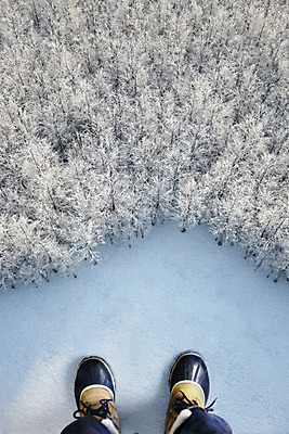 PSD 나무 편집이미지 여행 백그라운드 겨울 신체부위 하이앵글 눈 다리 숲 디지털합성 합성 디지털아트 이미지편집 자연요소 식물 계절 뷰포인트 날씨 사람 파일형식