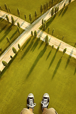 PSD 나무 편집이미지 길 여행 백그라운드 초원 신체부위 하이앵글 봄 가을 다리 교차로 디지털합성 합성 디지털아트 이미지편집 식물 계절 뷰포인트 사람 파일형식