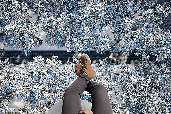 PSD 나무 편집이미지 도로 여행 백그라운드 겨울 신체부위 하이앵글 절벽 눈 다리 디지털합성 합성 디지털아트 내려보기 이미지편집 자연요소 식물 계절 길 뷰포인트 교통시설 모션 날씨 사람 파일형식