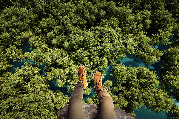 PSD 나무 편집이미지 여행 백그라운드 신체부위 강 하이앵글 절벽 다리 숲 디지털합성 합성 디지털아트 내려보기 이미지편집 식물 뷰포인트 모션 사람 파일형식