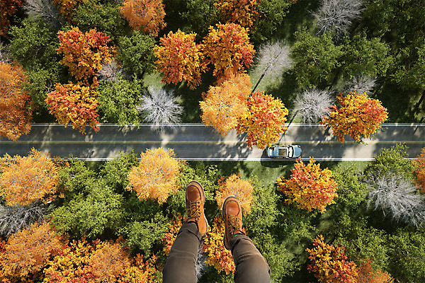 PSD 나무 편집이미지 도로 여행 백그라운드 단풍 자동차 신체부위 하이앵글 가을 다리 디지털합성 합성 디지털아트 이미지편집 식물 계절 길 육상교통 뷰포인트 잎 교통시설 사람 파일형식