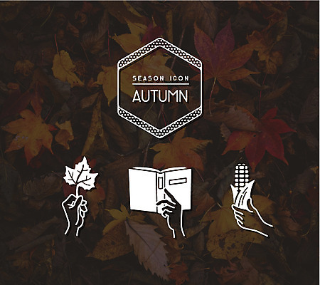 아이콘 손 계절 단풍 옥수수 신체부위 책 세트 가을 라인아이콘 2D아이콘 AI파일 잎 곡류 사람 파일형식 벡터