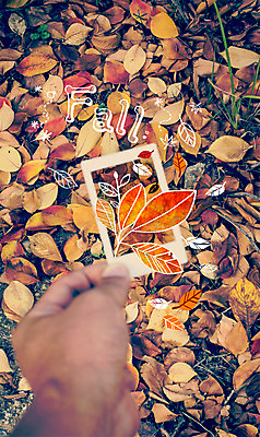 주간 PSD 편집이미지 손 계절 단풍 낙엽 야외 신체부위 가을 합성 계절백그라운드 이미지편집 자연요소 백그라운드 잎 사람 파일형식