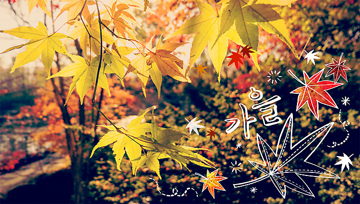 주간 PSD 편집이미지 계절 단풍 낙엽 사람없음 야외 가을 합성 계절백그라운드 이미지편집 자연요소 백그라운드 잎 파일형식