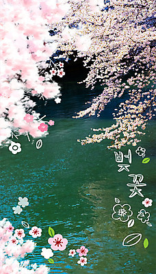 주간 PSD 편집이미지 계절 봄꽃 사람없음 야외 강 봄 벚꽃 합성 계절백그라운드 이미지편집 자연요소 꽃 백그라운드 파일형식