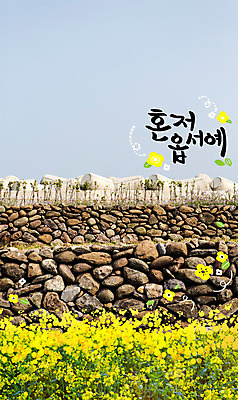 주간 PSD 편집이미지 계절 봄꽃 돌담 사람없음 야외 제주도 봄 돌 유채 합성 계절백그라운드 혼저옵서예 이미지편집 자연요소 꽃 백그라운드 한국 담장 돌_바위 방언 파일형식