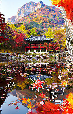 주간 PSD 나무 편집이미지 계절 단풍 낙엽 산 사람없음 야외 가을 연못 정자 합성 계절백그라운드 이미지편집 자연요소 식물 건축물 백그라운드 잎 파일형식