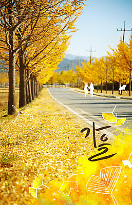 주간 PSD 편집이미지 계절 도로 단풍 낙엽 사람없음 야외 가을 은행잎 합성 계절백그라운드 이미지편집 자연요소 길 백그라운드 잎 교통시설 파일형식