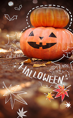 주간 PSD 편집이미지 계절 단풍 낙엽 호박 사람없음 야외 울타리 가을 유령 합성 박쥐 계절백그라운드 잭오랜턴 이미지편집 자연요소 백그라운드 잎 채소 포유류 담장 할로윈 파일형식