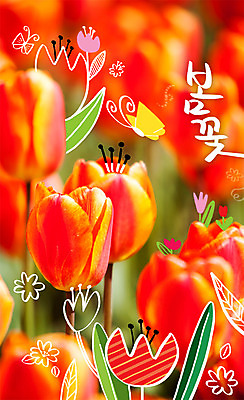 주간 PSD 편집이미지 계절 나비 봄꽃 사람없음 야외 봄 튤립 합성 계절백그라운드 이미지편집 자연요소 꽃 곤충 백그라운드 파일형식