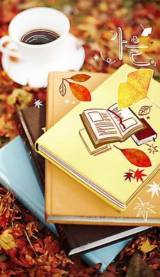 주간 PSD 편집이미지 계절 커피 단풍 낙엽 사람없음 야외 책 가을 커피잔 은행잎 합성 계절백그라운드 이미지편집 자연요소 음료 백그라운드 잎 잔 파일형식