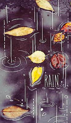 주간 PSD 편집이미지 계절 단풍 낙엽 사람없음 야외 가을 비 빗방울 합성 계절백그라운드 이미지편집 자연요소 백그라운드 잎 날씨 비_날씨 파일형식