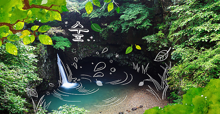 주간 PSD 나무 편집이미지 계절 사람없음 야외 물 여름 폭포 숲 합성 계절백그라운드 이미지편집 자연요소 식물 백그라운드 자연 파일형식