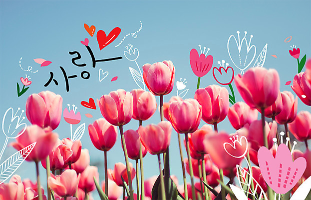 주간 PSD 편집이미지 계절 봄꽃 사람없음 야외 봄 튤립 하트 합성 계절백그라운드 이미지편집 자연요소 모양 꽃 백그라운드 파일형식