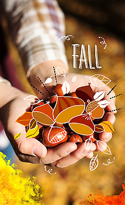 주간 PSD 편집이미지 손 계절 단풍 낙엽 야외 신체부위 가을 밤송이 합성 계절백그라운드 이미지편집 자연요소 백그라운드 잎 사람 밤_견과류 파일형식