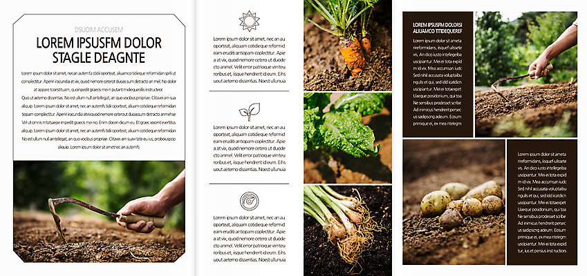 템플릿 편집 표지디자인 북디자인 손 출판디자인 내지 리플렛 북커버 3단접지 감자 들기 팜플렛 신체부위 농사 당근 파 호미 이미지템플릿 AI파일 농업 채소 모션 뿌리채소 사람 농기구 파일형식 벡터