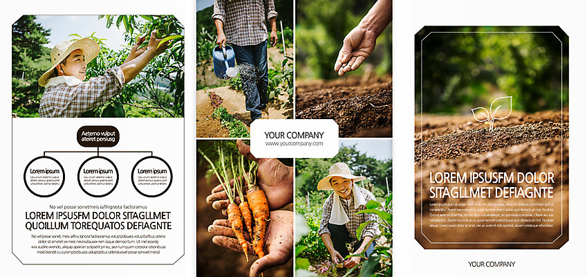 템플릿 편집 표지디자인 북디자인 출판디자인 표지 남자 리플렛 40대 북커버 3단접지 들기 팜플렛 여러명 성인 옆모습 새싹 당근 물뿌리개 한국인 농부 성인남자만 이미지템플릿 AI파일 식물 직업 뷰포인트 중년 다수 모션 뿌리채소 사람 동양인 남자만 성인만 파일형식 벡터