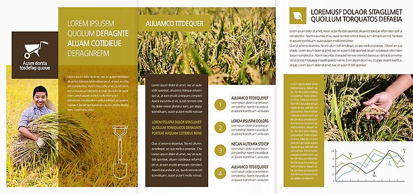 템플릿 편집 표지디자인 북디자인 손 출판디자인 남자 내지 음식 리플렛 40대 북커버 3단접지 그래프 들기 팜플렛 성인 두명 앞모습 신체부위 한국인 벼 농부 삽 이미지템플릿 AI파일 직업 뷰포인트 중년 모션 곡류 사람 동양인 파일형식 벡터