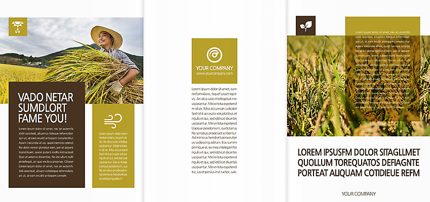 템플릿 편집 표지디자인 북디자인 출판디자인 표지 남자 음식 리플렛 40대 북커버 3단접지 한명 서기 들기 팜플렛 상반신 성인 앞모습 한국인 벼 농부 성인남자한명만 이미지템플릿 AI파일 직업 1 뷰포인트 중년 모션 곡류 사람 동양인 남자한명만 성인남자만 파일형식 벡터