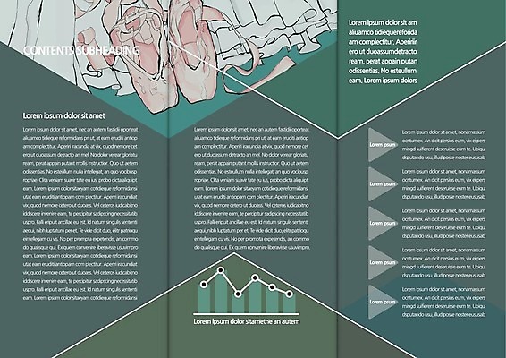 템플릿 편집 표지디자인 북디자인 출판디자인 내지 리플렛 북커버 3단접지 그래프 팜플렛 취미 사람없음 발레복 토슈즈 이미지템플릿 AI파일 옷 신발 발레 파일형식 벡터