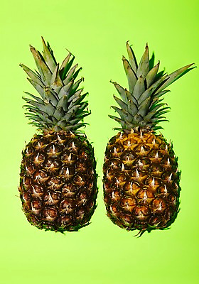 포토 JPG 음식 과일 사람없음 연두색 두개 파인애플 팝아트 국내포토 2 초록색 열대과일 그림 파일형식