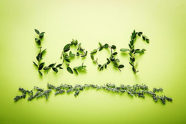 포토 JPG 스튜디오촬영 문자 영어 백그라운드 텍스트 자연 나뭇잎 사람없음 단어 국내포토 잎 실내 생태계 파일형식